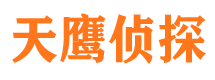 镇沅找人公司